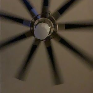 Meet your Posher, Shane